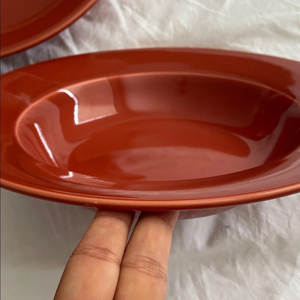 Williams Sonoma Terracotta Dinnerware Set pasta soup bowls